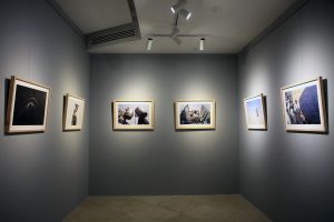 گزارش تصویری: نشست تخصصی عکس با حضور امیر نریمانی