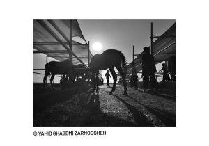 درخشش عکاس قمی در نمایشگاه بین‌المللی مکزیک